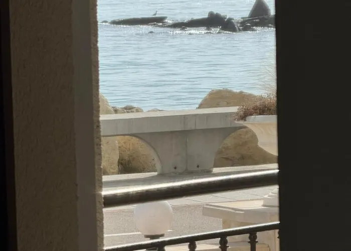 Apartman за гости октопод к-кс карпе дием Balcsik