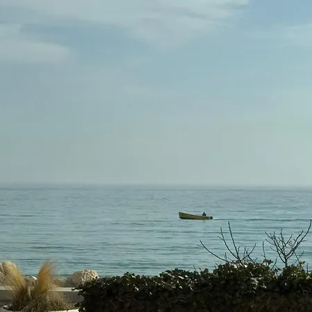 за гости октопод к-кс карпе дием アパート バルチク