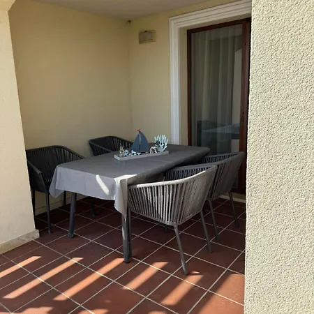 за гости октопод к-кс карпе дием