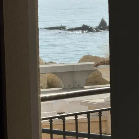 アパート за гости октопод к-кс карпе дием バルチク