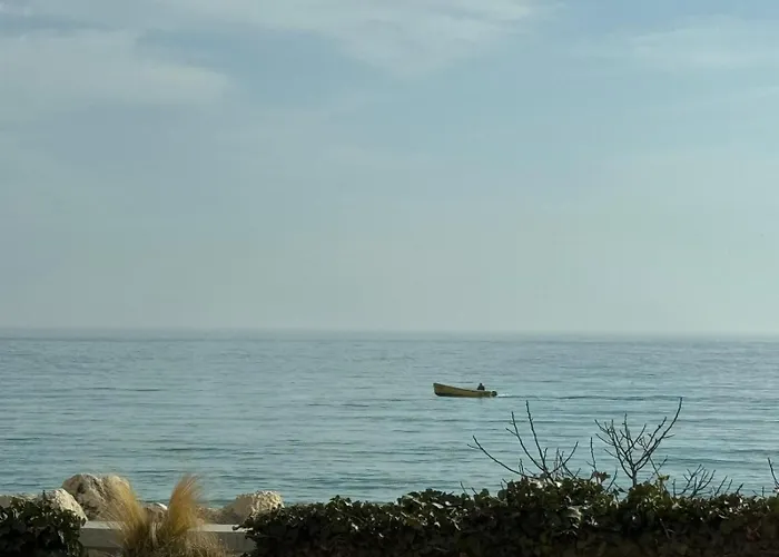 за гости октопод к-кс карпе дием Lejlighed Balchik